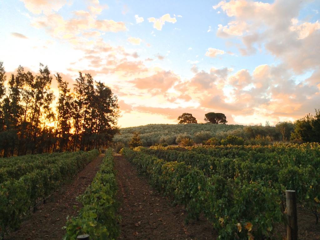 Гостьовий будинок Calais Wine Estate Парл Екстер'єр фото